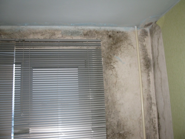 Низкая паропроницаемость стен при плохой вентиляции приводит к образованию конденсата и появлению плесени.